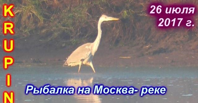 ловля на нижней москва реке ловля на нижней москва реке