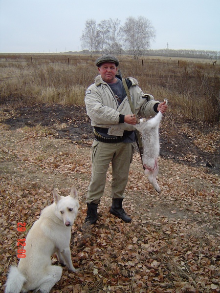 Первый осенний заяц