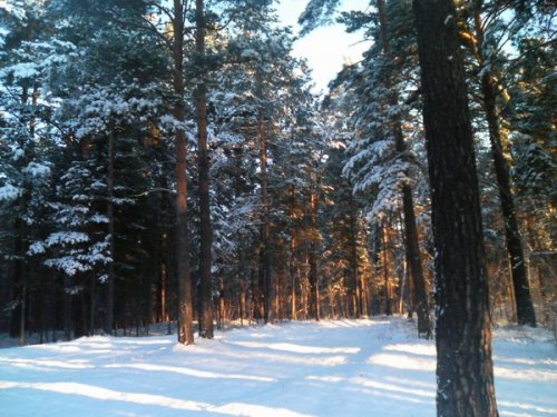 Первый снег