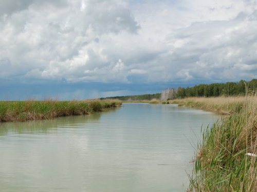 Заказник Чаны