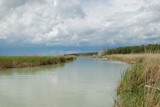 Заказник Чаны