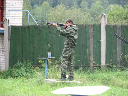 Таракан пытается попасть в тарелку.