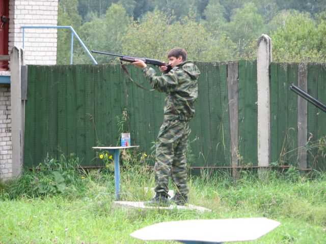 Таракан пытается попасть в тарелку.