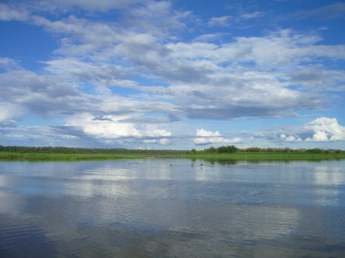 Кривошеинский район, Томская область, 19.08.07