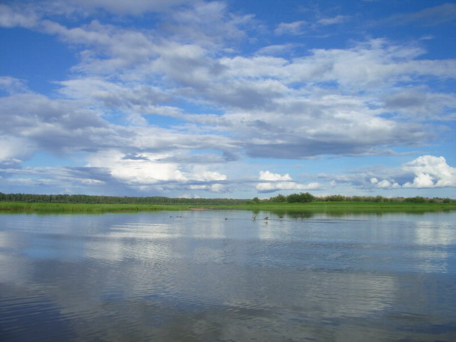 Кривошеинский район, Томская область, 19.08.07