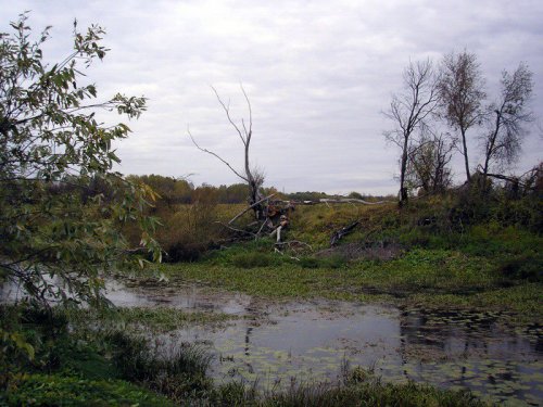 Кашлам, день.