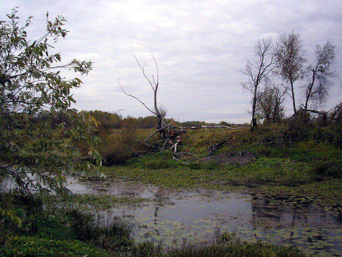 Кашлам, день.