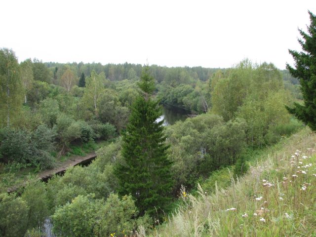 Таёжная река