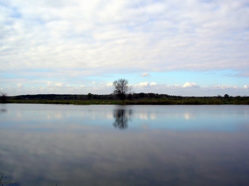 В далеке бор. А передо мной красотища.