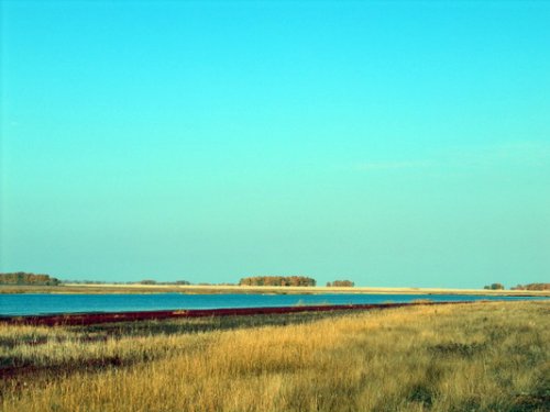 Баган, "Пестряк"