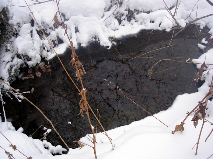 Все низины в воде.
