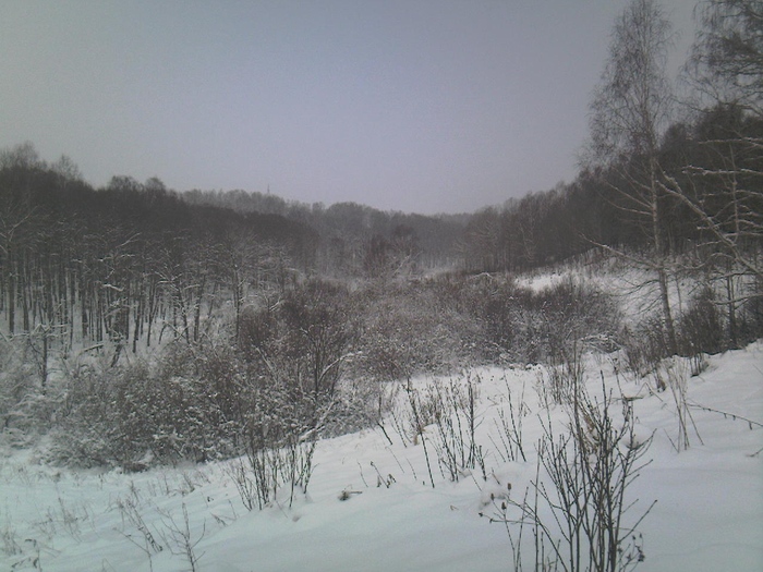 Зимний лог.