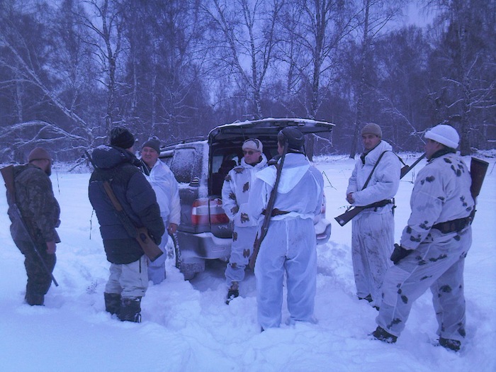 Партизаны