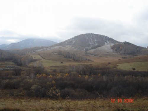 Алтайский маральник.