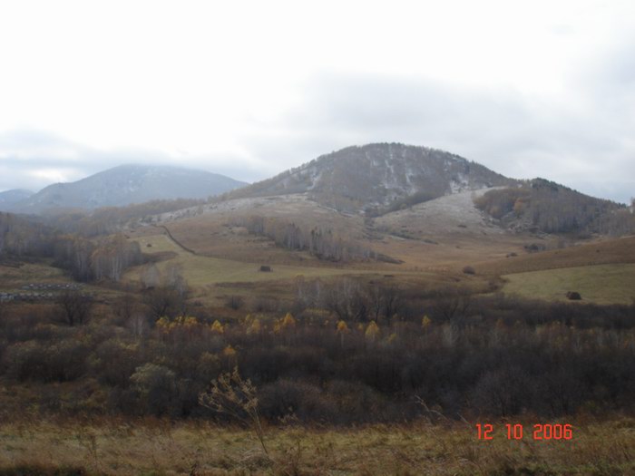 Алтайский маральник.