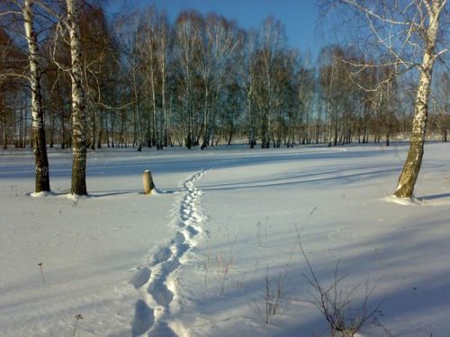 Следов никаких, кроме этих.