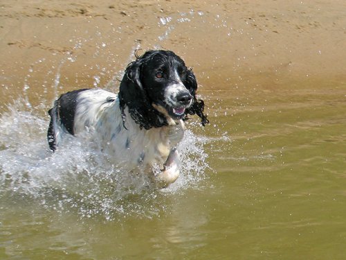 Водяной.