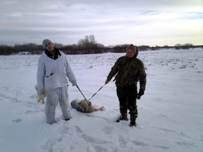 Конечно они выполняли и другие работы...