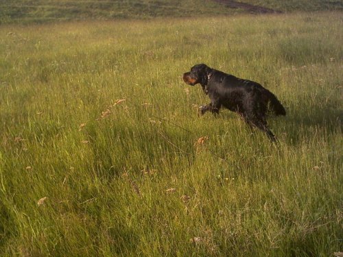 Потяжка