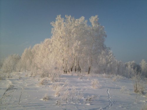Серебряный околок.