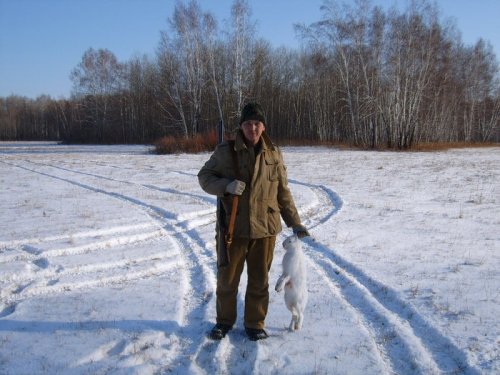 Заяц после  пули