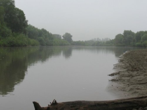 Река Ануй