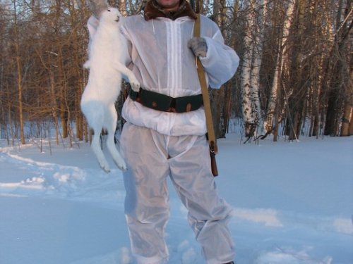 Февральский зайчишка (03.02.2008).