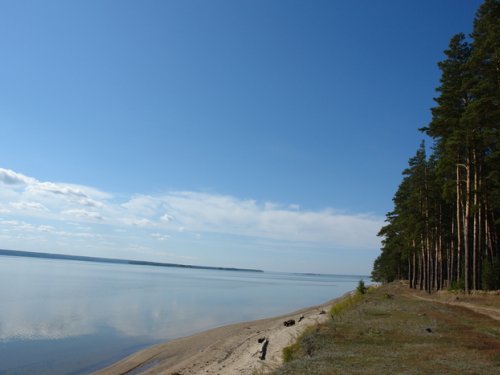 красота