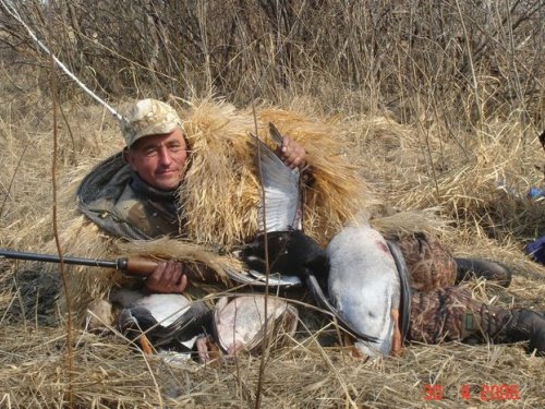 Кикимора рулит)))