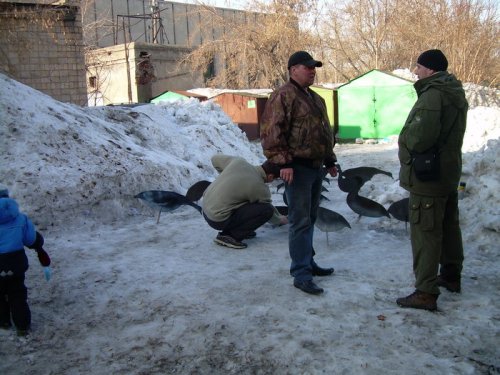 Подготовка к охоте идет полным ходом. Таракан готовит для гусей сюрприз.