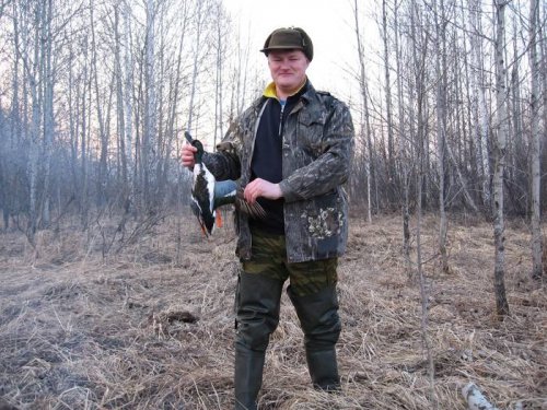 Колывань- весна 2007. Селезень в брачном окрасе.