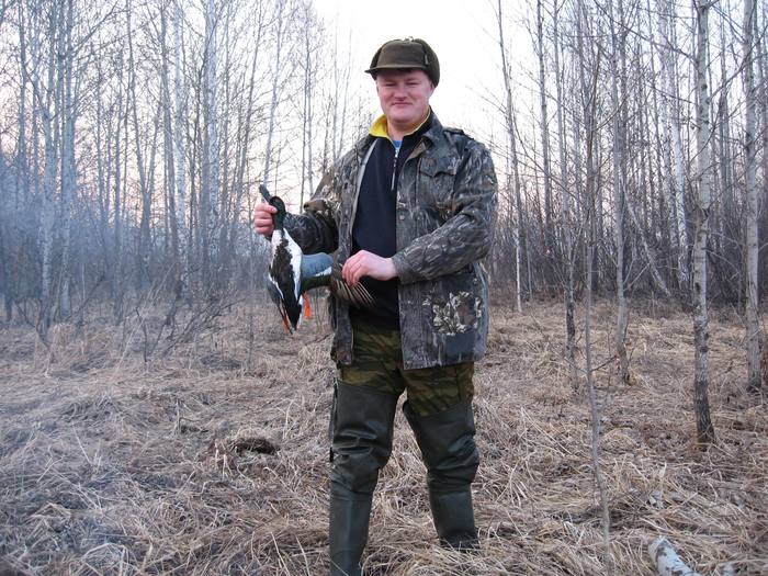 Колывань- весна 2007. Селезень в брачном окрасе.