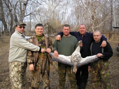 На всех не хватает
