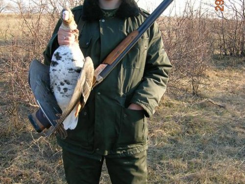 Я с казаркой.