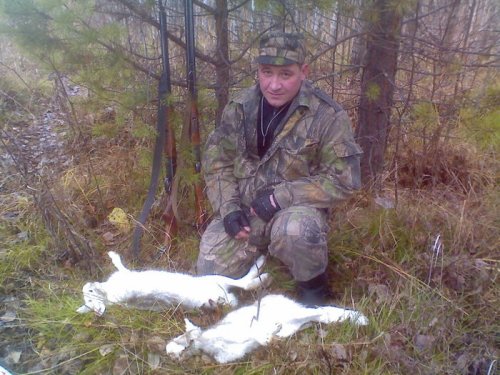 хорощее трио( Я и мои зайцы)