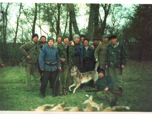 Также скан с 9*12.Охота на лису,но и серого приговорили.