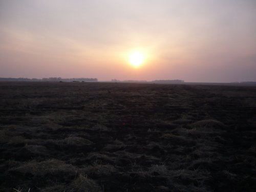 Зорька