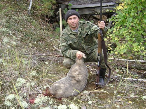 четыре литра сала