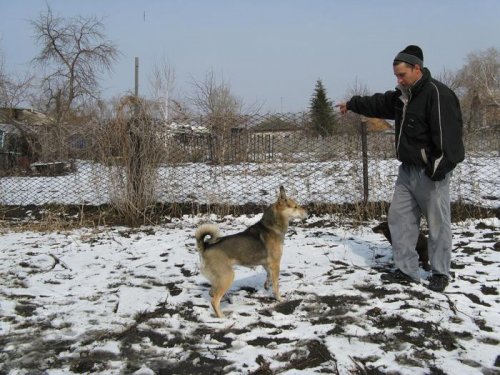 достану