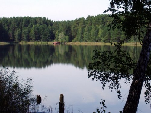 Шарап, Ордынский р-н