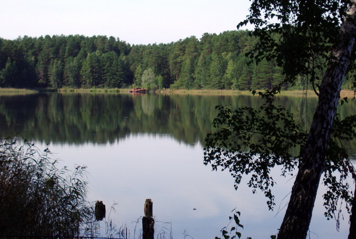 Шарап, Ордынский р-н