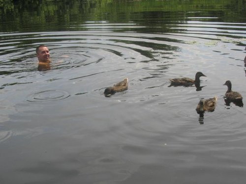 Я с крякашами