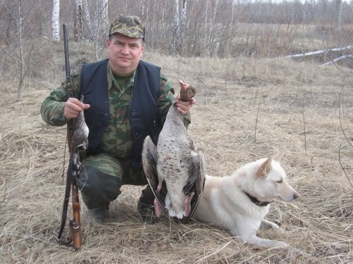 Настоящий полковник