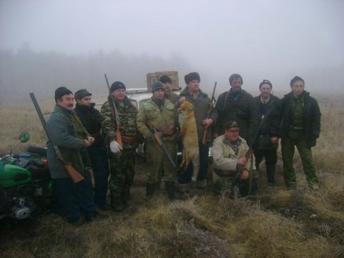 Мои безобидные друзья