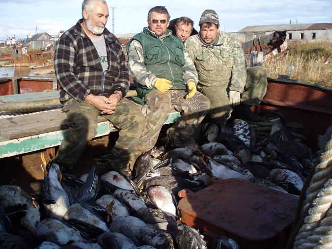 Гусаки 5