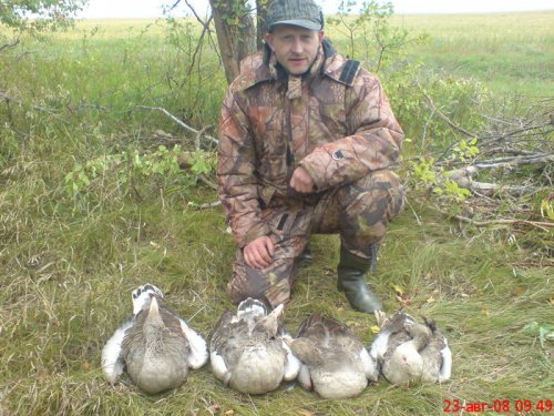 вот и результат