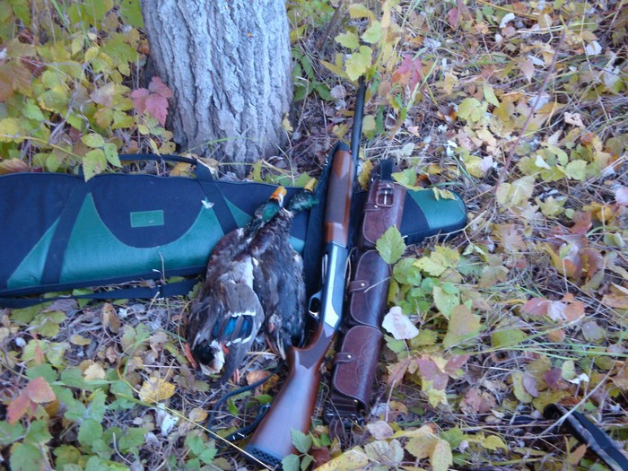 Трудовые крякаши.