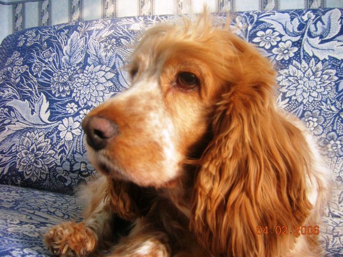 ...Вечная память...