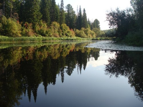 Шегарка