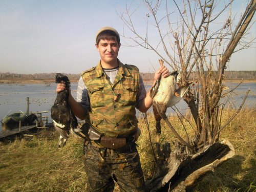 Каждого красавца по одному.